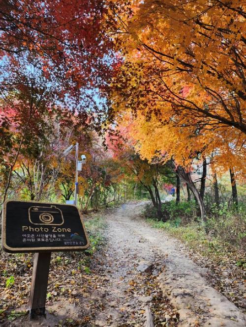 전주 마사지 추천