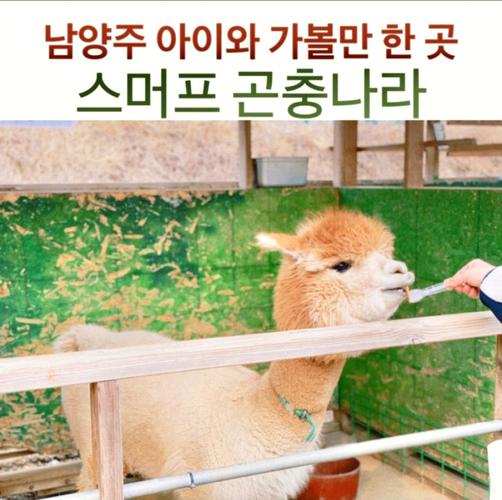 정왕동 아로마 마사지