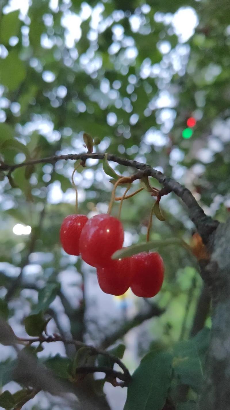 울산 남자 마사지 구인