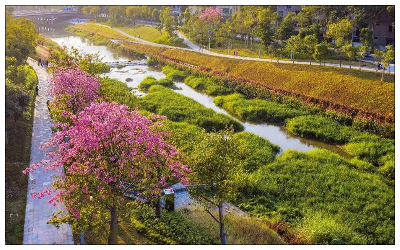 전주 진북동 마사지