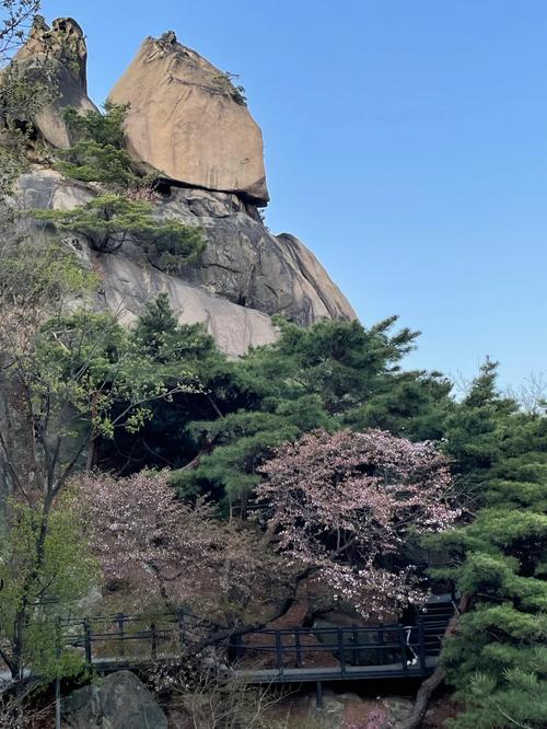 금련 꿈 스포츠 마사지