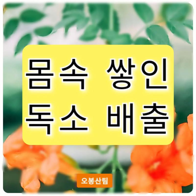 영남대 마사지